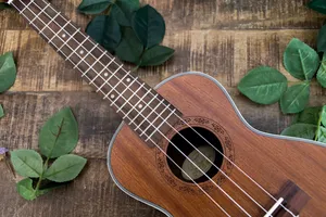 小清新感十足的尤克里里图片第张