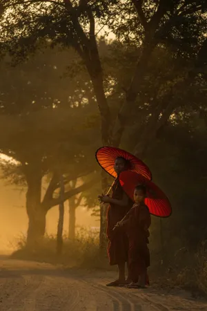 手里撑着伞的人图片第张