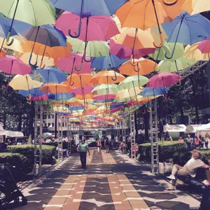 挂在空中的雨伞图片第张