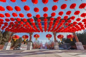 年味十足的大红灯笼图片第张