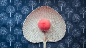 夏日传统蒲扇图片第张