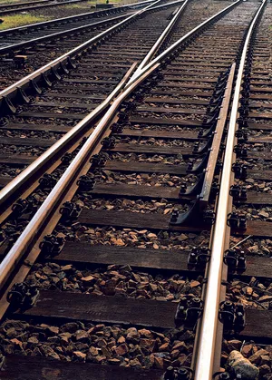 金属的衍生物图片第张