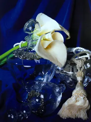 少女系列之花饰摆设图片第张