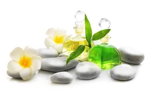 绿色spa用品图片第张