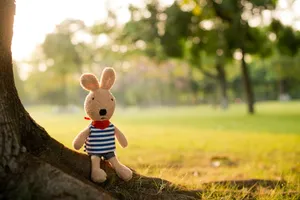 砂糖兔公仔图片第张