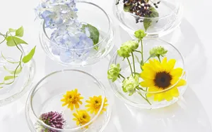 花卉礼品图片第张