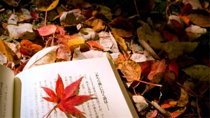 唯美清新的小书本图片第张