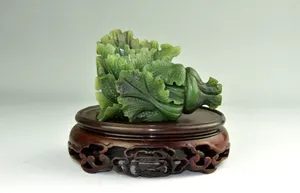 玉白菜图片第张