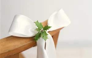 漂亮的蝴蝶结饰品图片第张