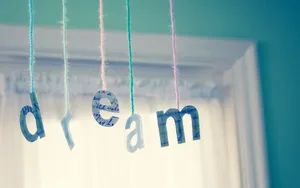 好看的室内装饰品图片第张