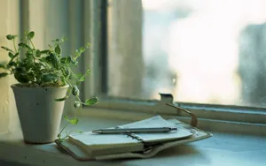 可爱的小本子图片第张