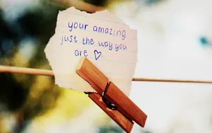 可爱的小夹子图片第张