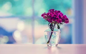 简约文艺的花瓶图片第张