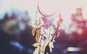 唯美捕梦网图片第张