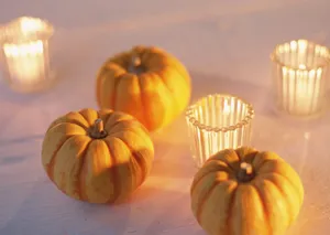 精致家居静物图片第张