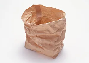 牛皮纸袋、空白纸袋图片第张