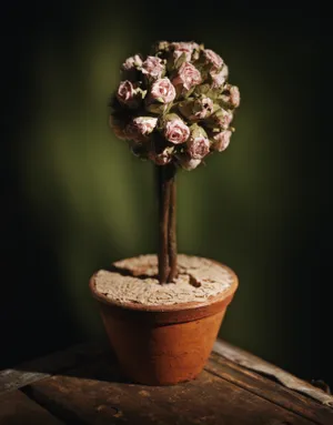 记忆中的鲜花图片第张