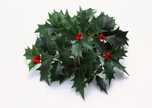 圣诞花环图片第张