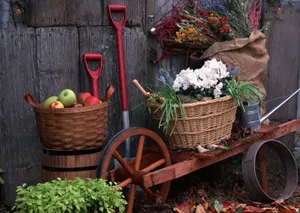 园艺工具图片第张