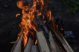 柴火堆燃烧火焰图片_1