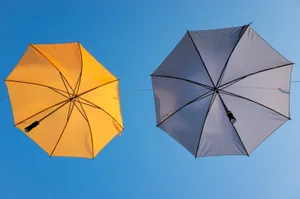 空中保护伞图片_1