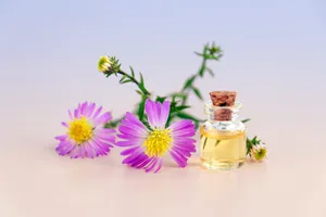 雏菊精油图片