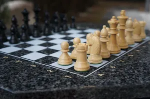 国际象棋棋盘棋子图片_1