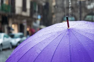 紫色雨伞雨滴图片第1张