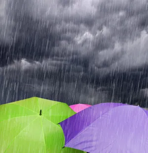 非主流雨伞图片下载_1