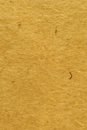 羊皮纸图片第1张