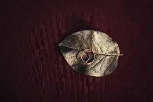 黄金婚戒对戒图片第1张