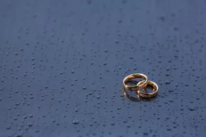 圆环婚礼戒指图片_1