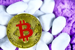 一枚比特币图片第1张