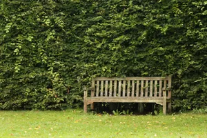 露天的长椅图片第张