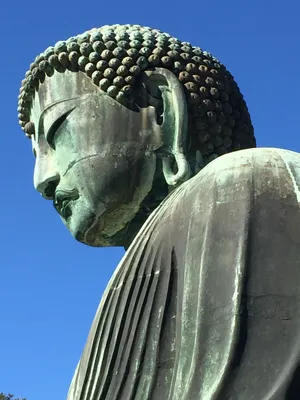 巨大的慈悲佛像图片第张