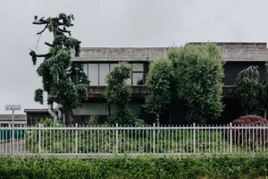 城市绿化的图片第张