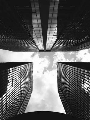 黑白灰构图的建筑图片第张