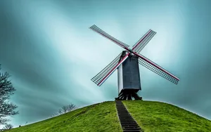 唯美的风车图片第张