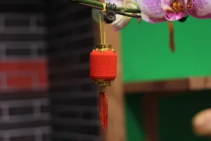 装饰盆景的小灯笼图片第张