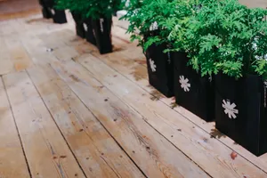 展会上风格各不相同的椅子图片第张