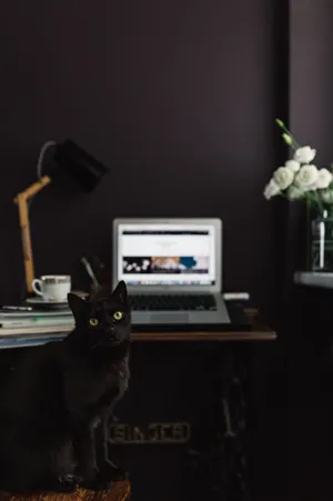 家庭办公室的图片第张