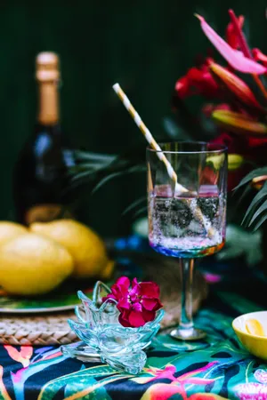 充满热带风格的图片第张