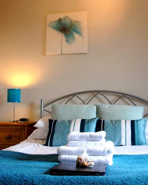 舒适柔软的双人床图片第张