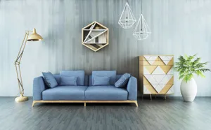 欧式家居设计图片第张