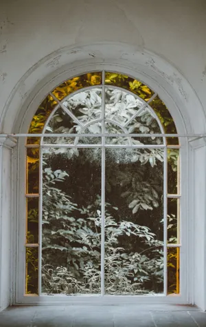 外形各异的窗户图片第张