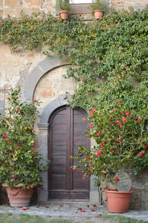 好看的欧式门图片第张