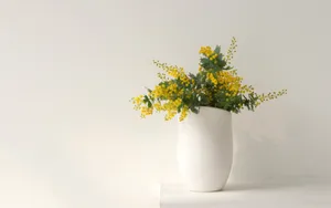 温馨家居装饰图片第张