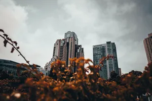 公司办公大楼图片_1