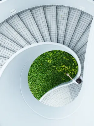 螺旋楼梯图片_1