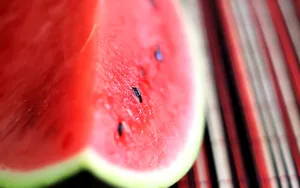 夏日清凉西瓜图片壁纸_8